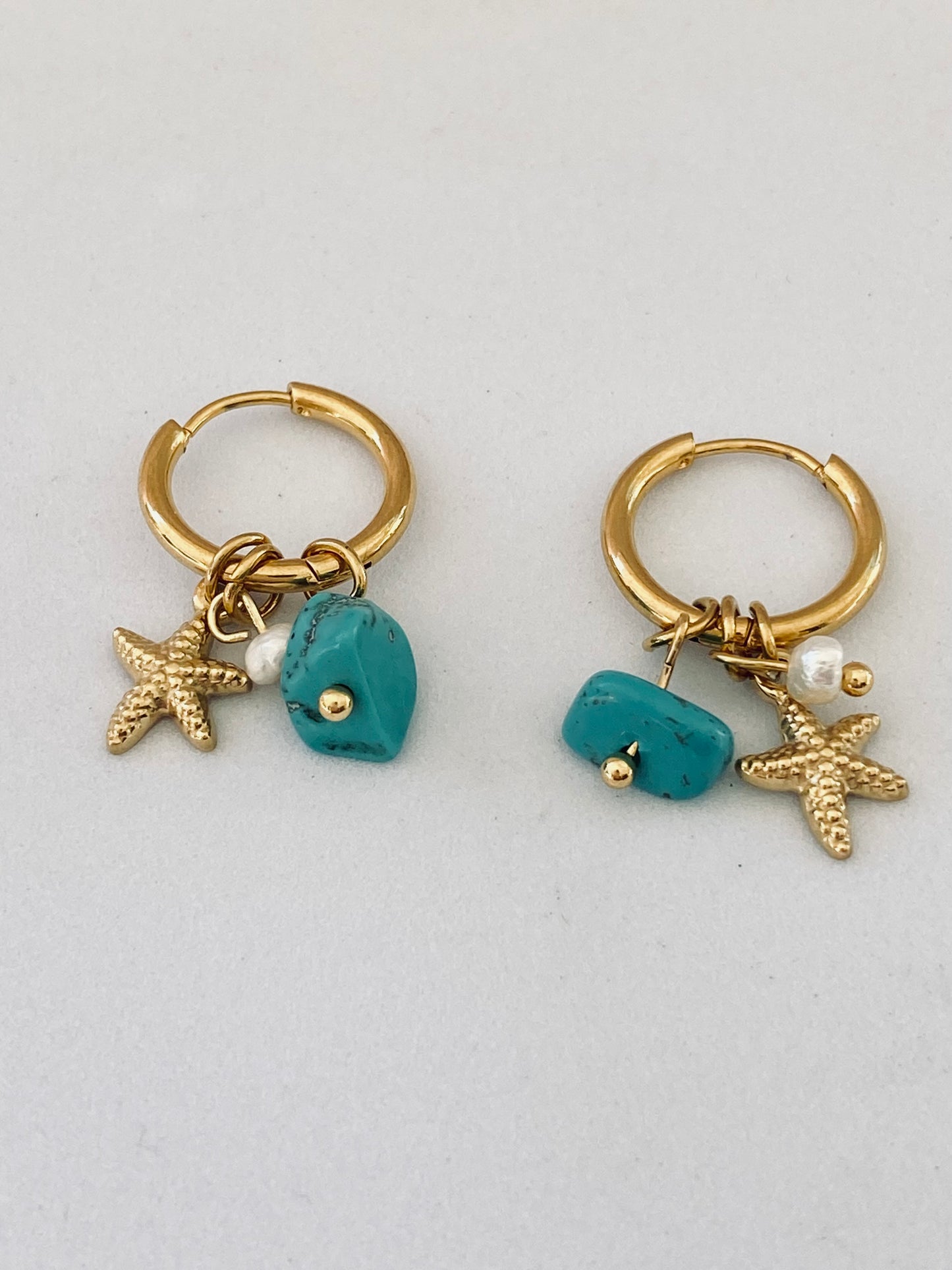 Junia Small Hoop Earrings with Petite Charms
