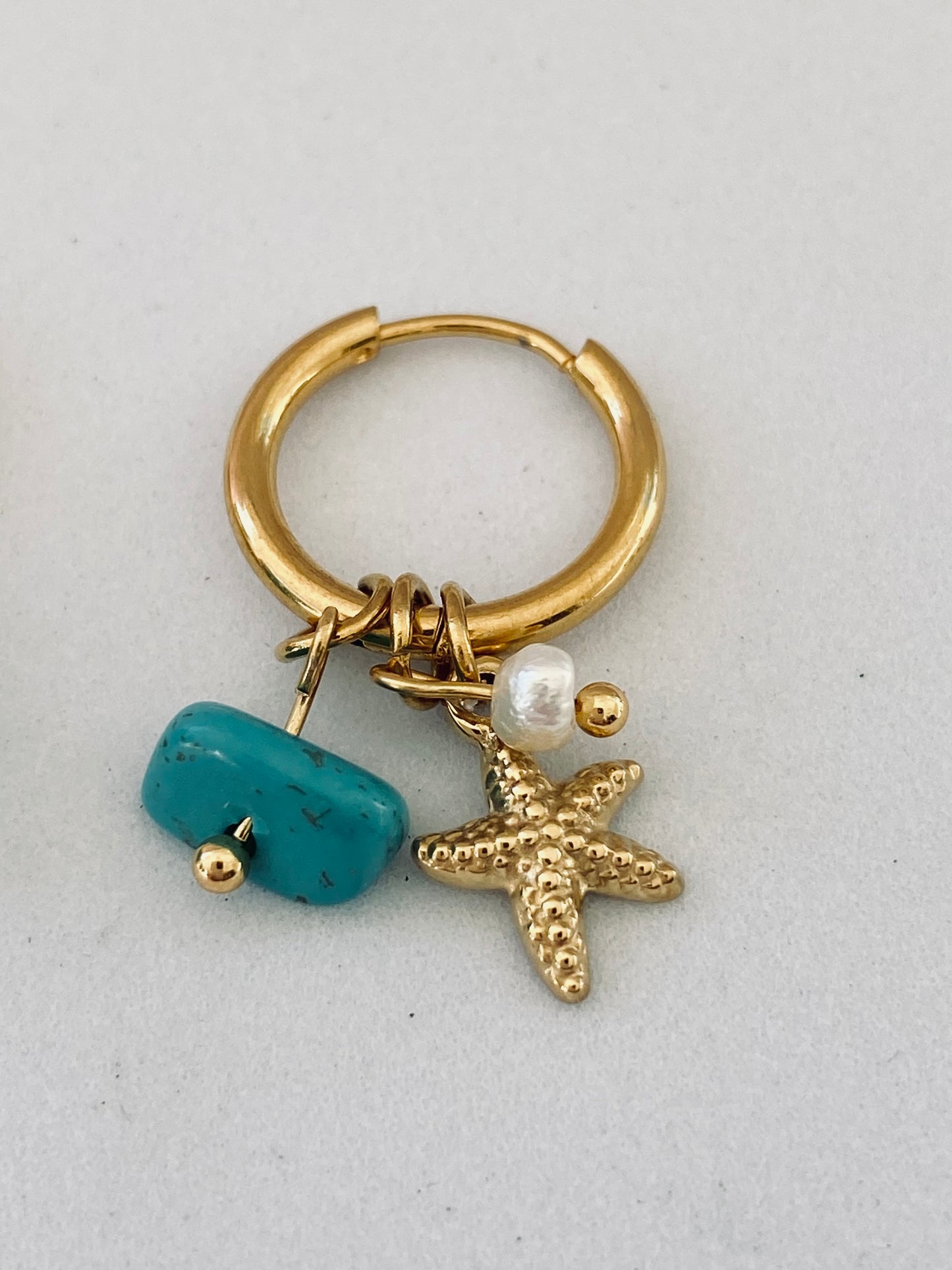 Junia Small Hoop Earrings with Petite Charms